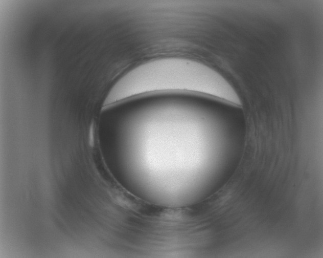 X0000055510076200508120806