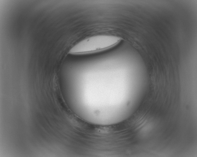 X0000055510079200508120807