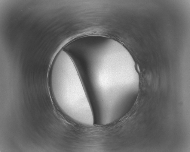 X0000055510100200508120806