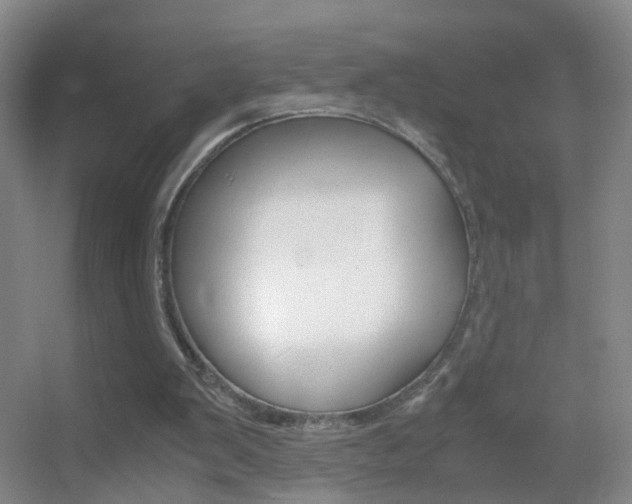 X0000055510103200508120806