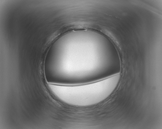 X0000055510105200508120806