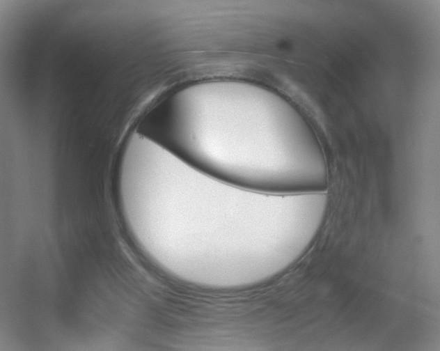 X0000055510107200508120806