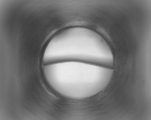 X0000055510108200508120806