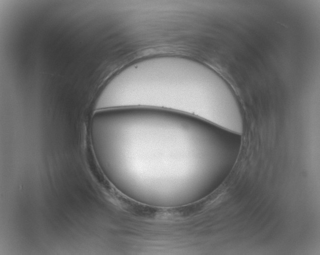 X0000055510109200508120806