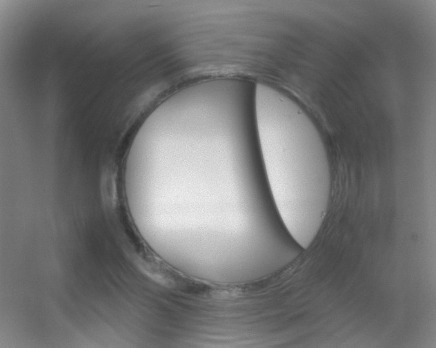 X0000055510110200508120806