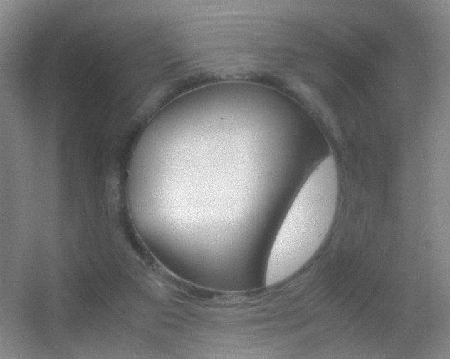 X0000055510113200508120806