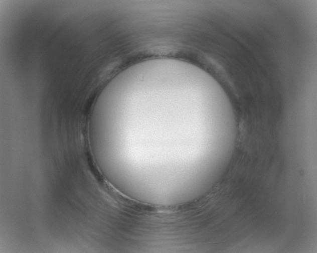 X0000055510114200508120806