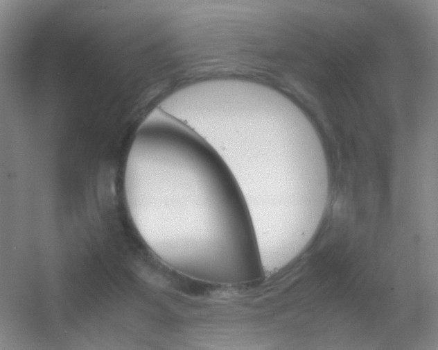X0000055510115200508120806