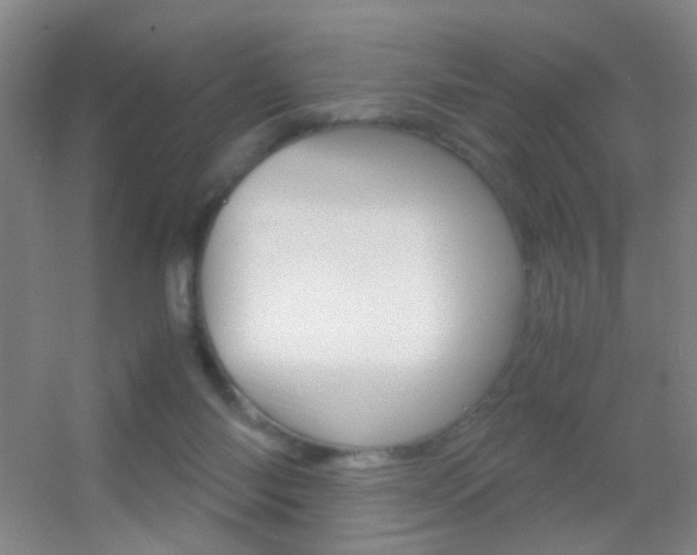 X0000055510118200508120806