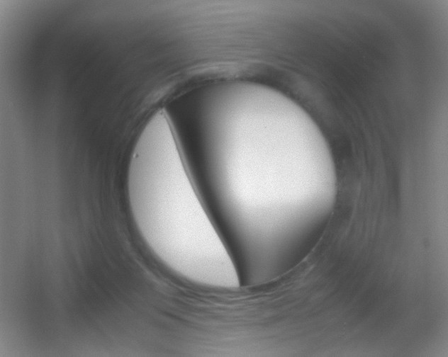 X0000055510119200508120806