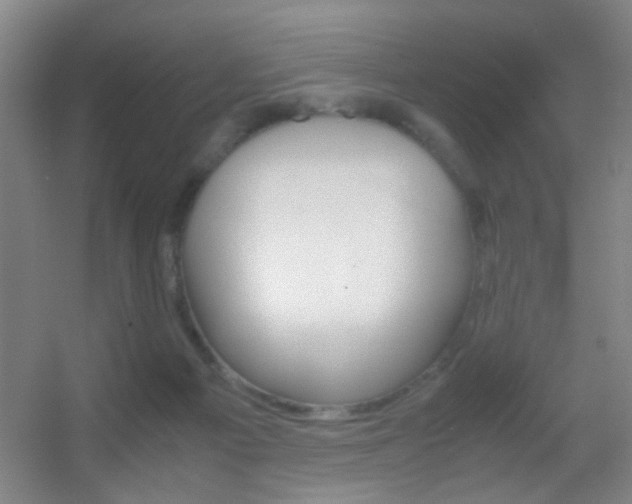 X0000055510121200508120806