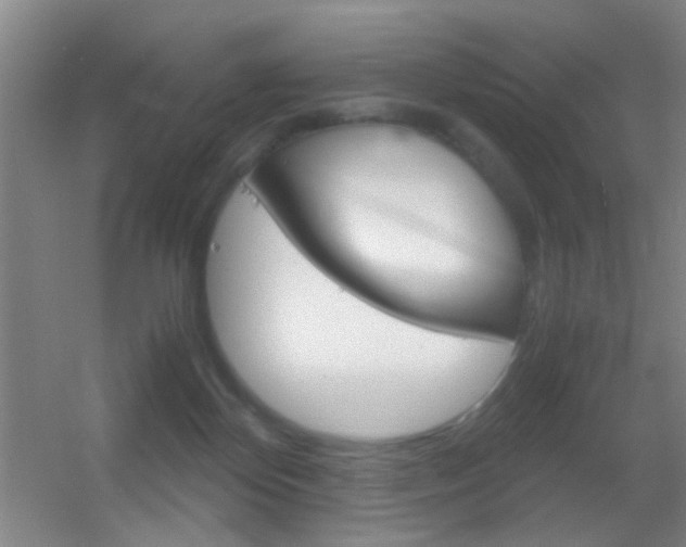 X0000055510124200508120806