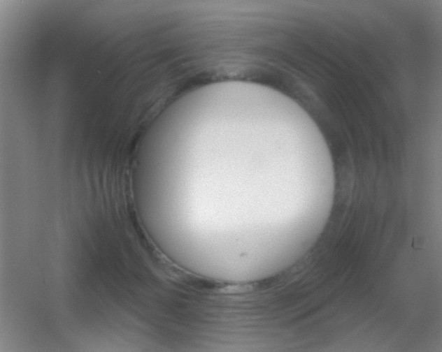 X0000055510126200508120806