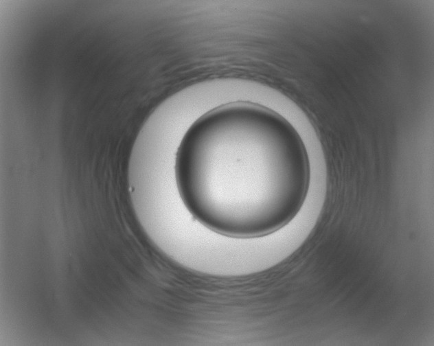 X0000055510129200508120805