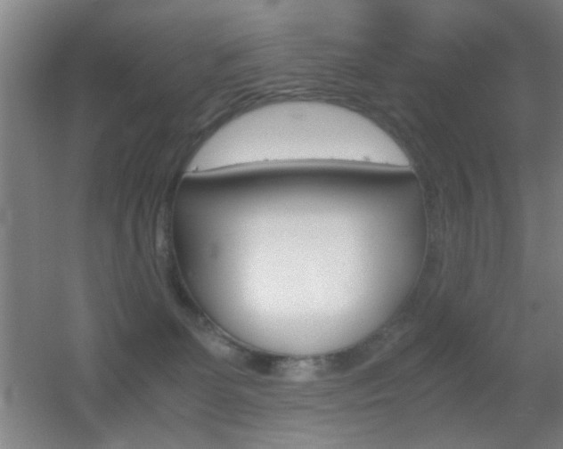X0000055510131200508120805