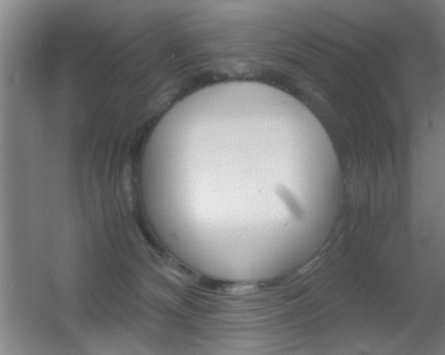 X0000055510132200508120805