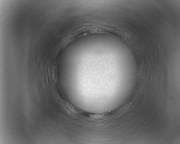 X0000055510139200508120805