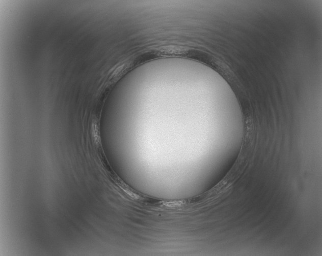 X0000055510143200508120805