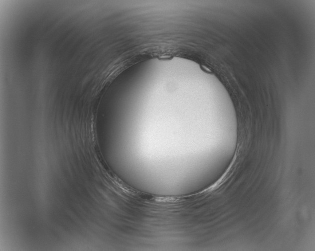 X0000055510144200508120805