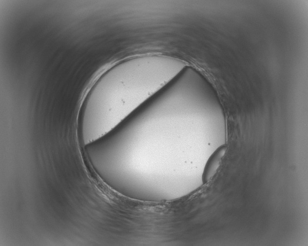 X0000055510147200508120804