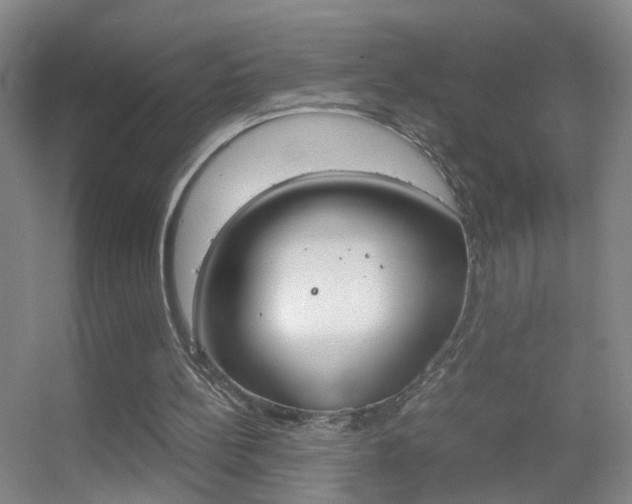 X0000055510148200508120804