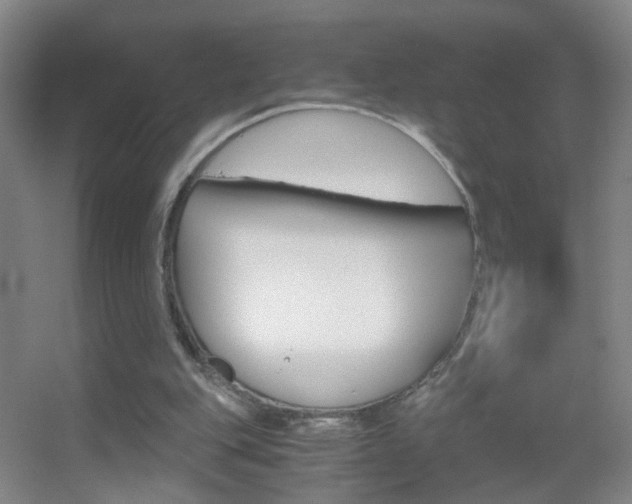 X0000055510151200508120805
