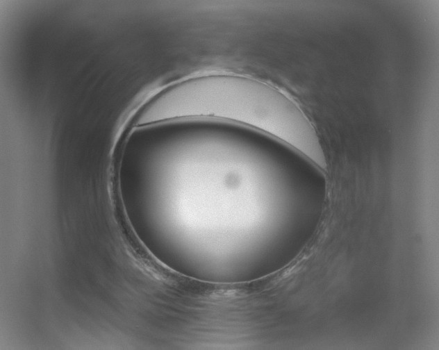 X0000055510152200508120805