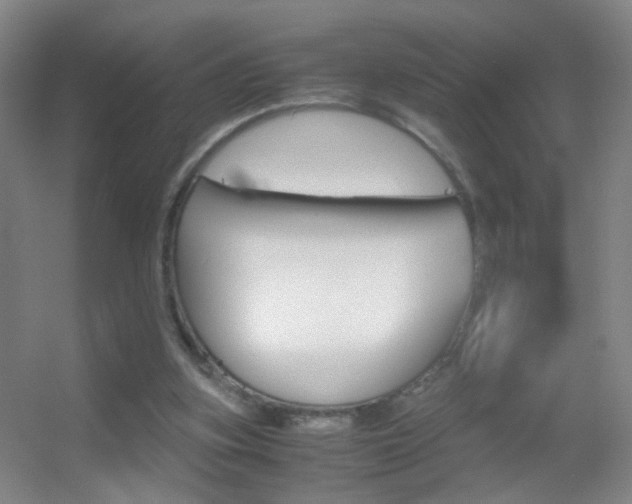 X0000055510155200508120805
