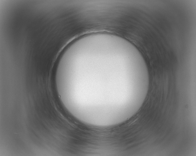 X0000055510156200508120805