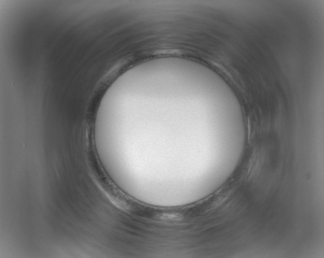 X0000055510157200508120805