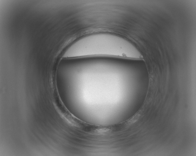 X0000055510158200508120805