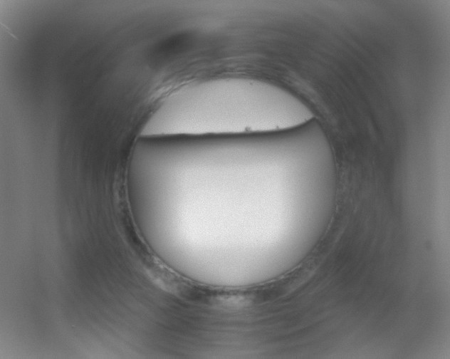 X0000055510161200508120805