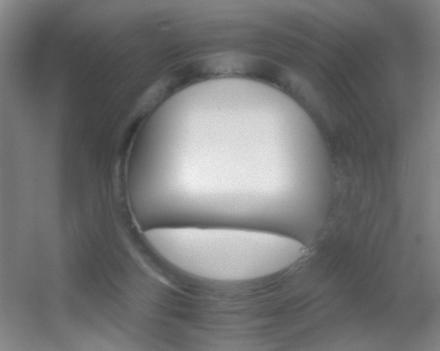 X0000055510163200508120805