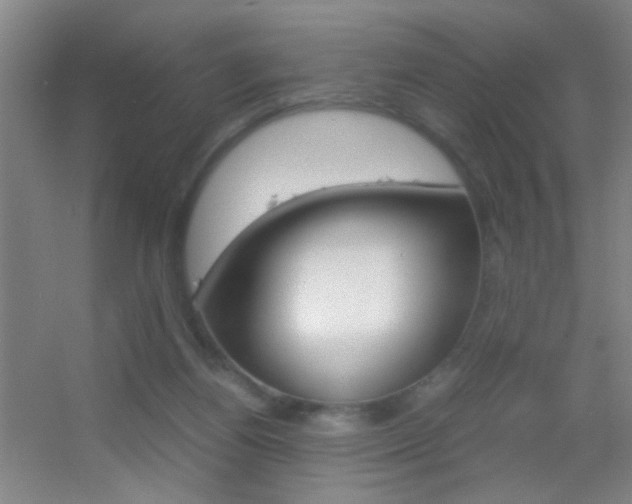 X0000055510164200508120805