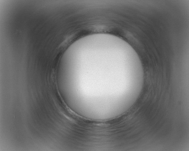 X0000055510165200508120805