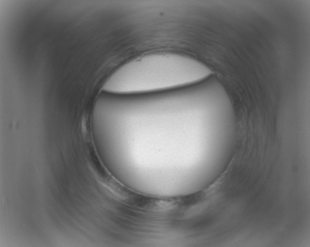X0000055510166200508120805