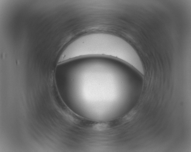 X0000055510168200508120805