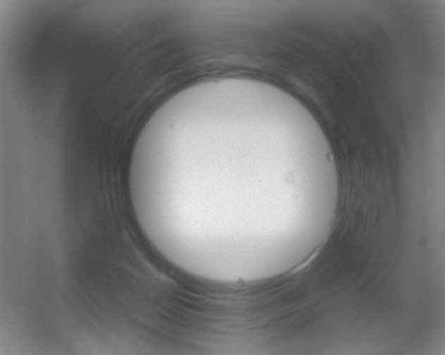 X0000055510170200508120805