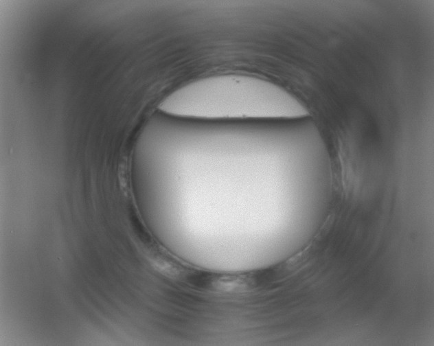 X0000055510175200508120805