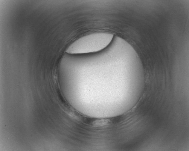X0000055510179200508120805