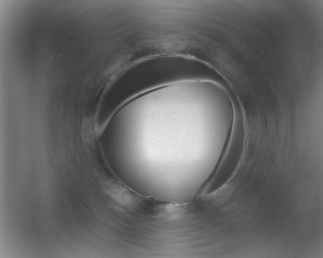 X0000055510184200508120805