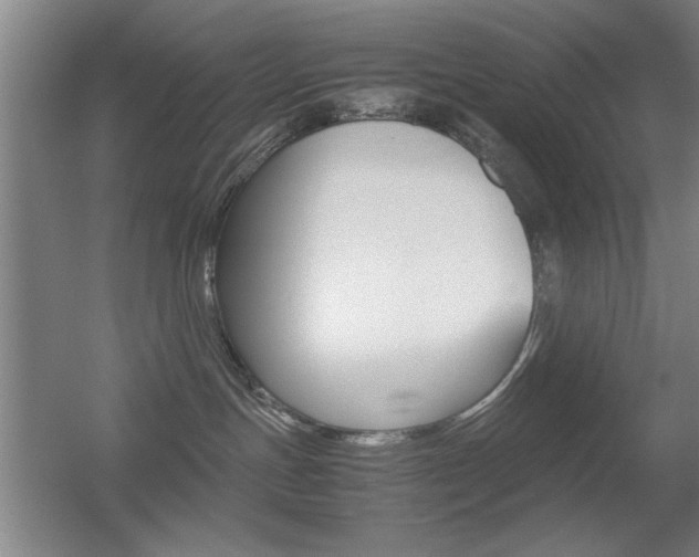 X0000055510191200508120805