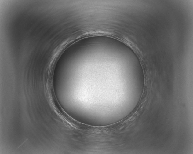 X0000055510193200508120804