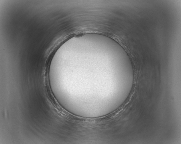 X0000055510194200508120804