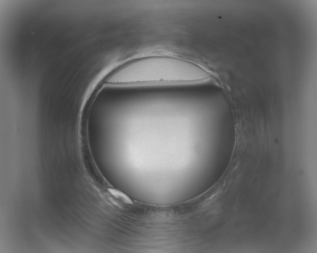 X0000055510200200508120804
