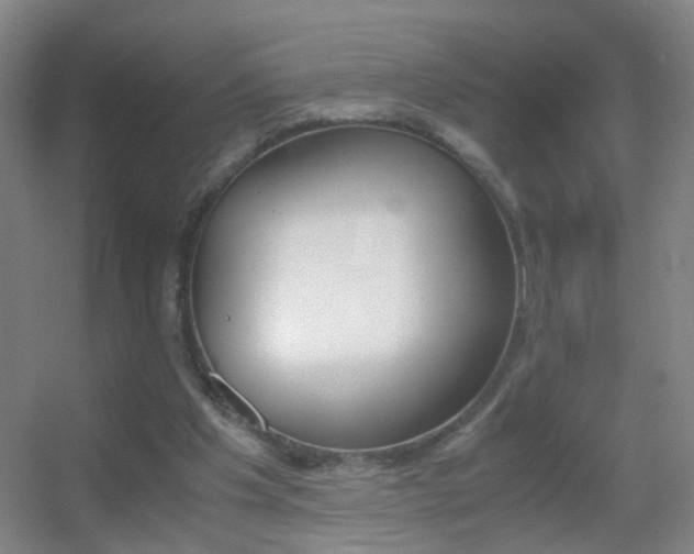 X0000055510201200508120804