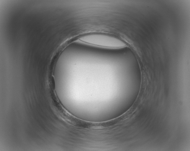 X0000055510203200508120804