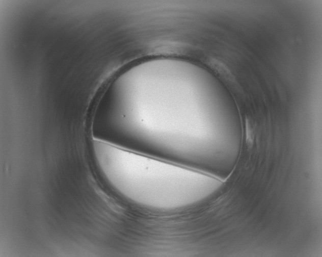X0000055510204200508120804