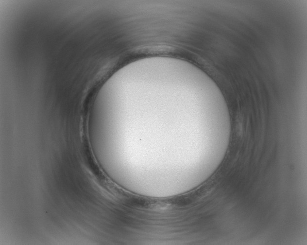 X0000055510206200508120804