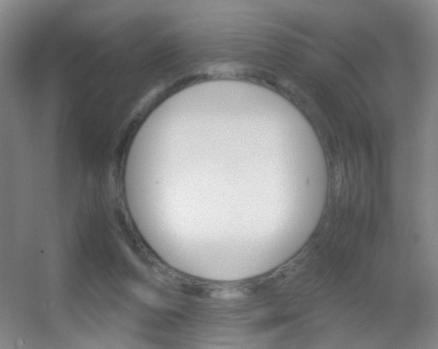 X0000055510208200508120804